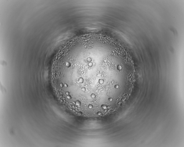 X0000091310745200708101503