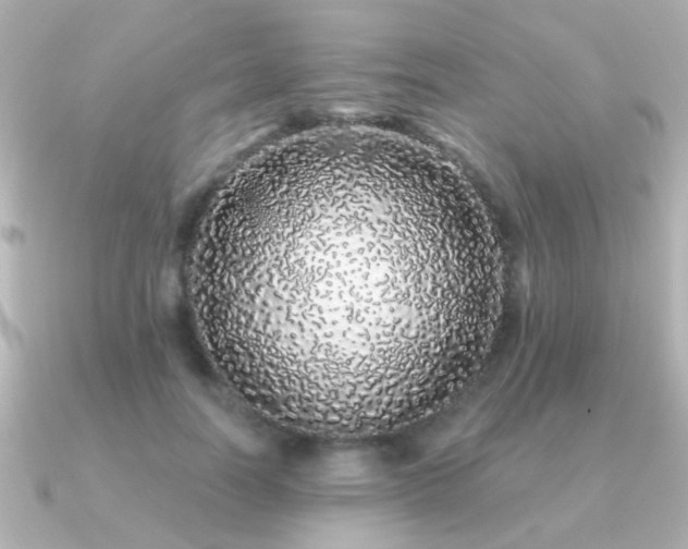 X0000091310746200708101503