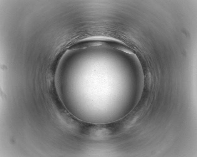 X0000091310747200708101503