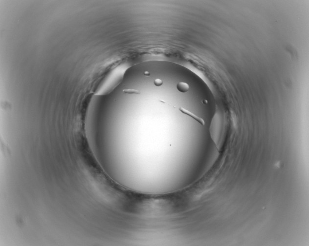 X0000091310748200708101503