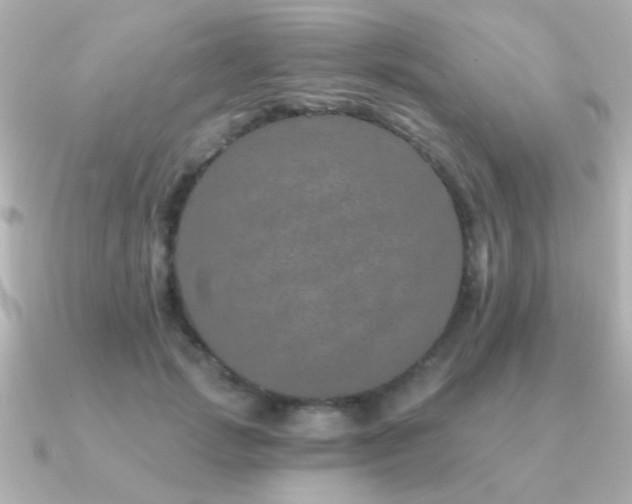 X0000091310749200708101503