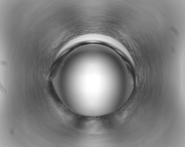 X0000091310750200708101503