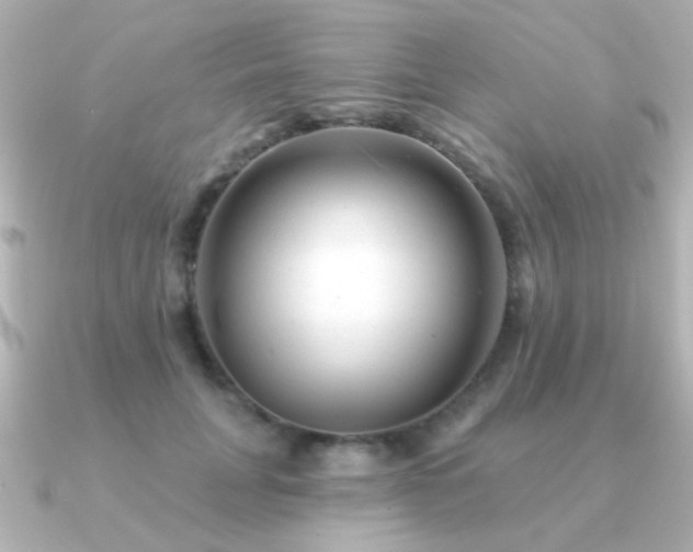 X0000091310751200708101503