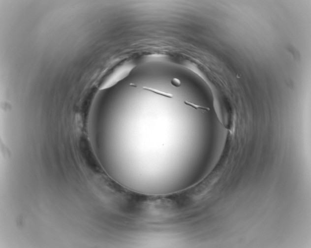 X0000091310752200708101503