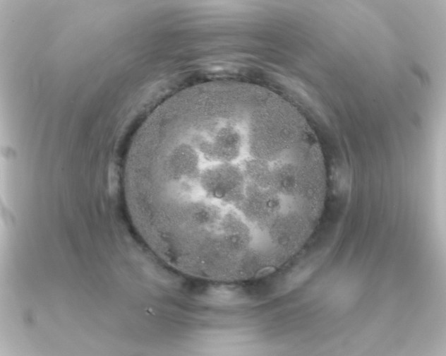 X0000091310753200708101503