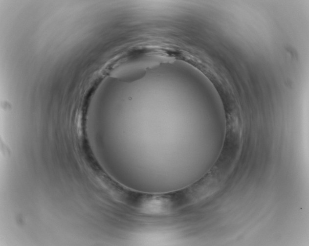 X0000091310754200708101503