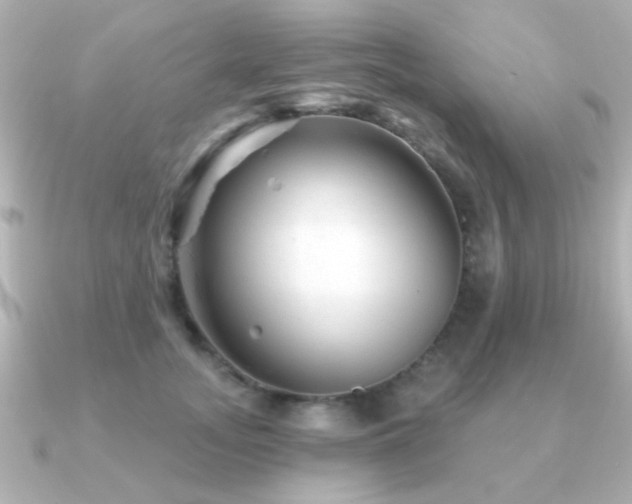 X0000091310755200708101503