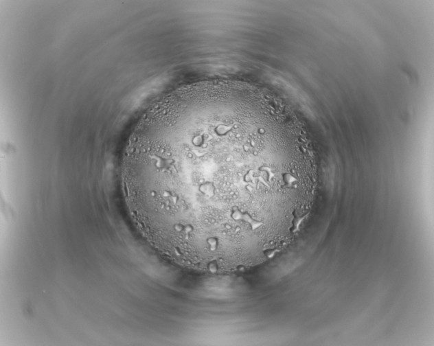 X0000091310757200708101503