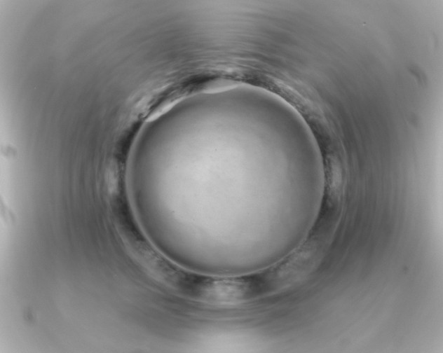 X0000091310758200708101503