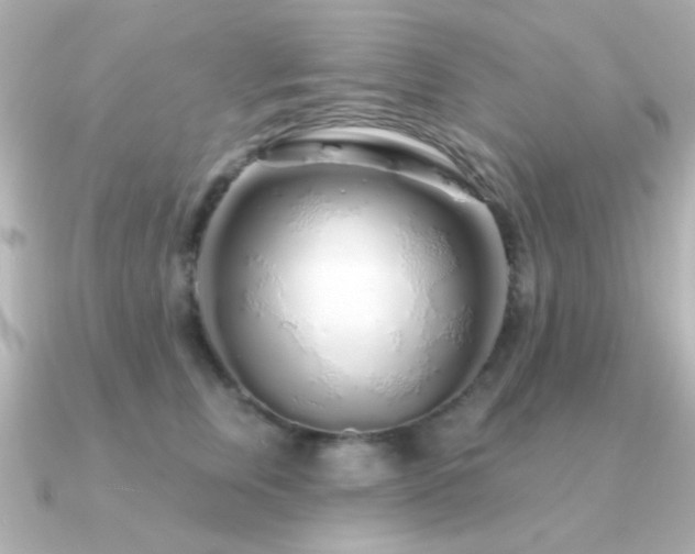 X0000091310759200708101503