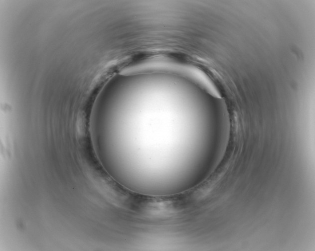 X0000091310760200708101503