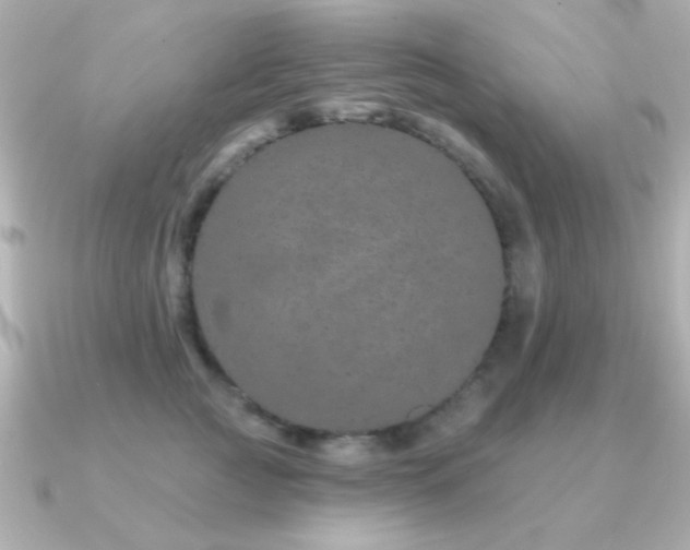 X0000091310761200708101503