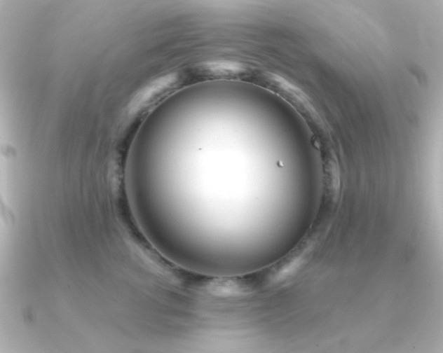 X0000091310762200708101503