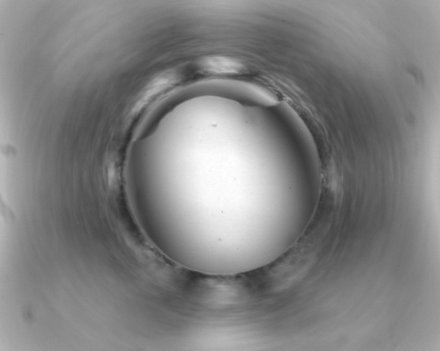 X0000091310763200708101503