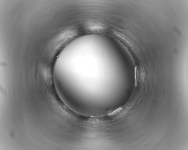 X0000091310764200708101503