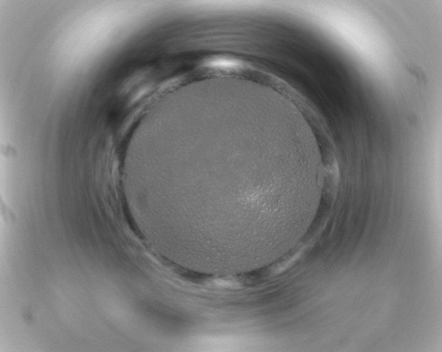 X0000091310765200708101503