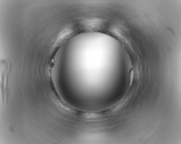 X0000091310766200708101503