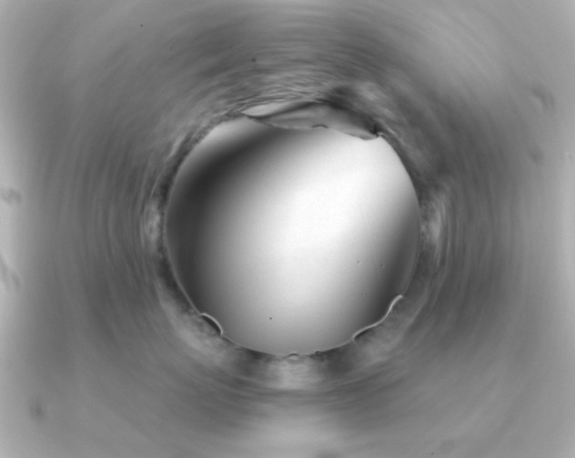 X0000091310767200708101503