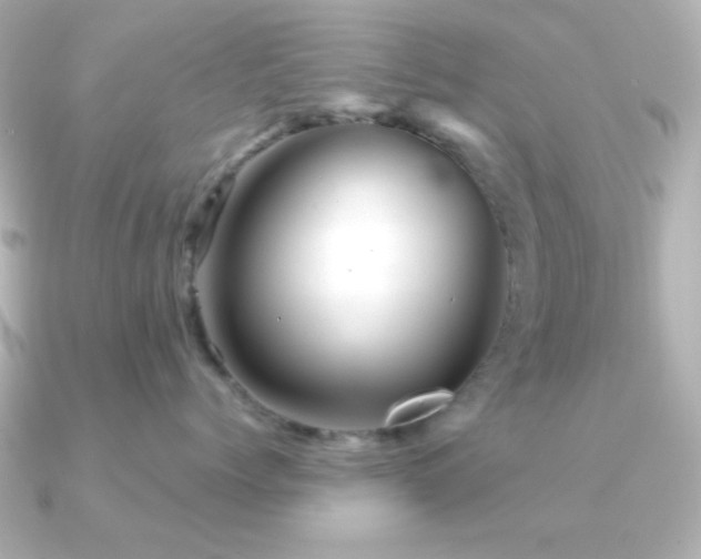 X0000091310768200708101503