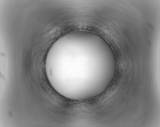 X0000091310769200708101503