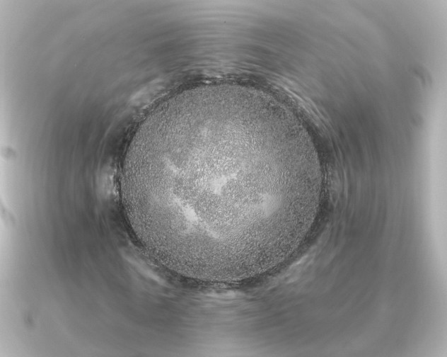 X0000091310770200708101503