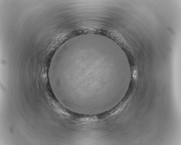 X0000091310771200708101503