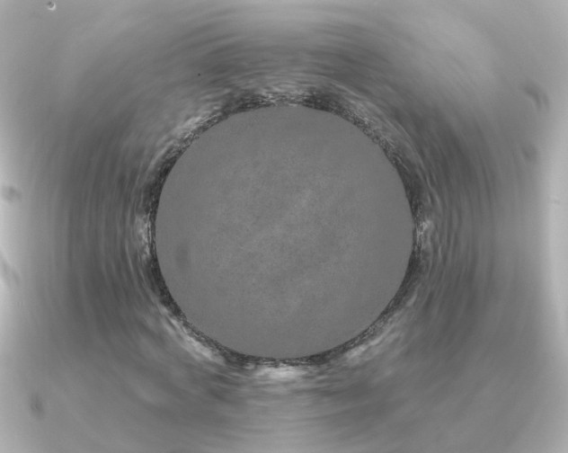 X0000091310772200708101503