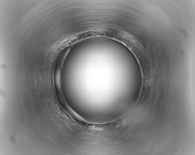 X0000091310773200708101503