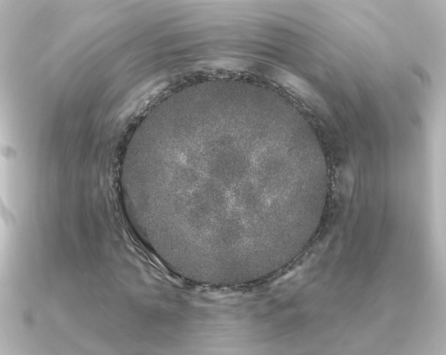 X0000091310774200708101503