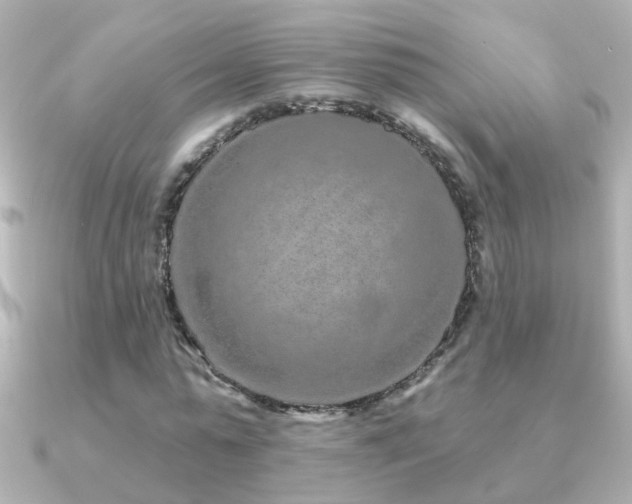 X0000091310775200708101503