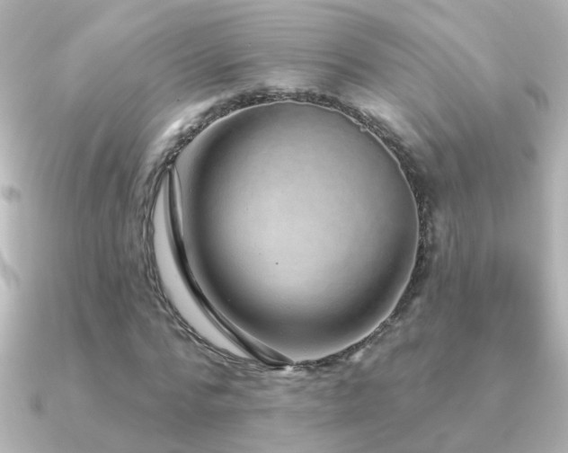 X0000091310776200708101503