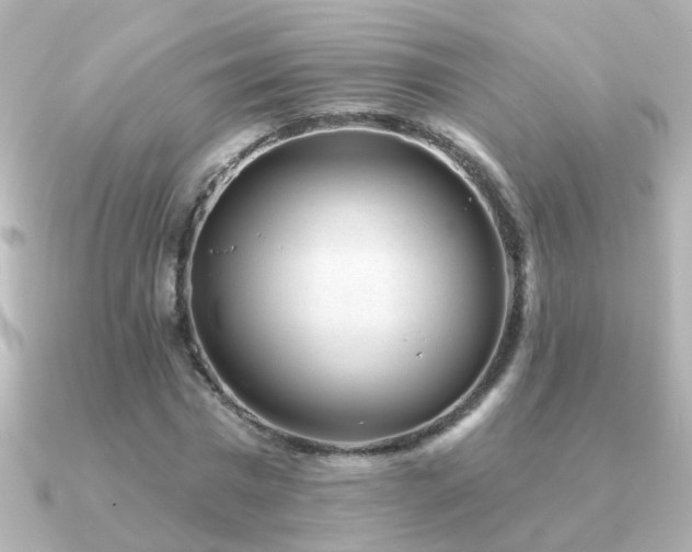 X0000091310777200708101503