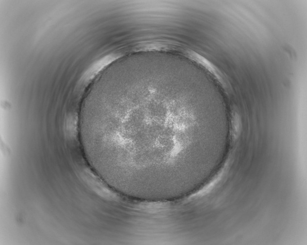 X0000091310778200708101503