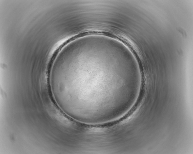 X0000091310779200708101503