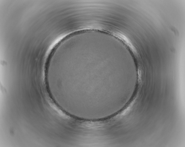 X0000091310780200708101502