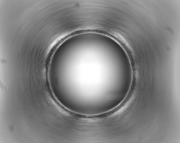 X0000091310781200708101502