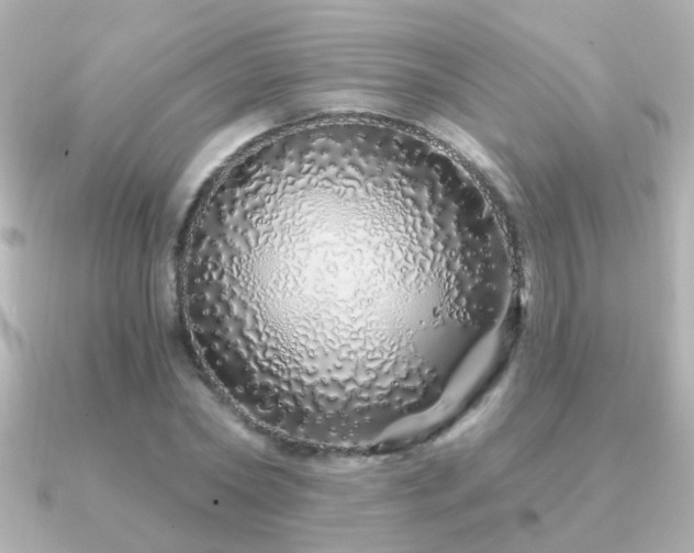 X0000091310782200708101502