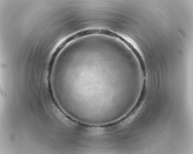 X0000091310783200708101502