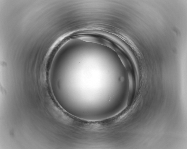 X0000091310784200708101502