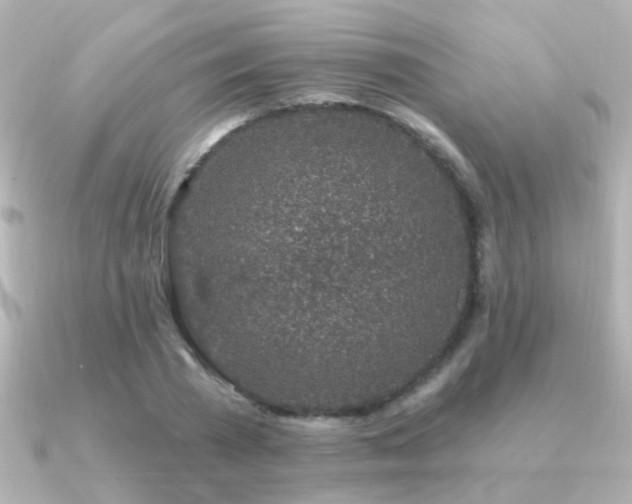 X0000091310785200708101502