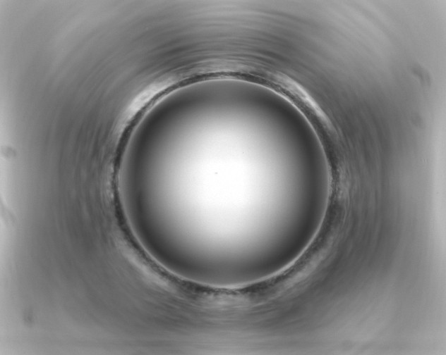 X0000091310786200708101502