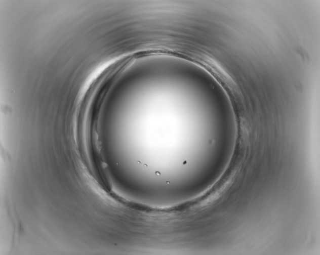 X0000091310788200708101502