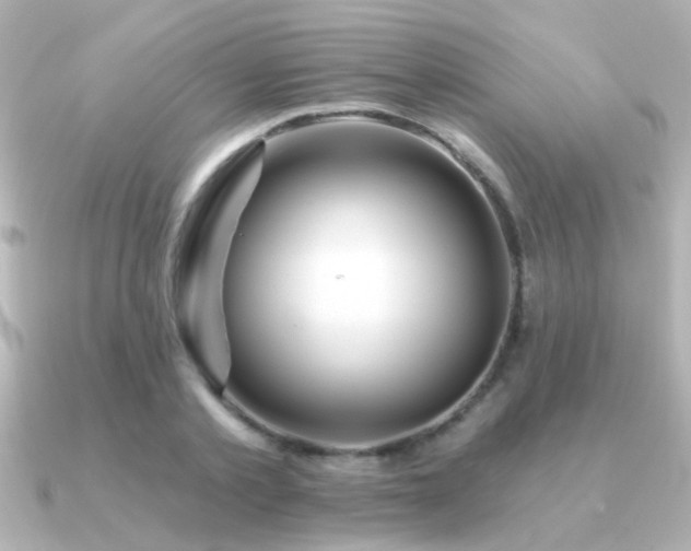 X0000091310789200708101502