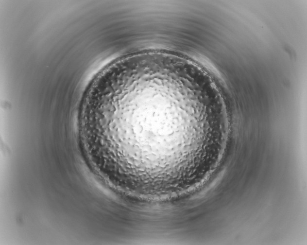 X0000091310790200708101502