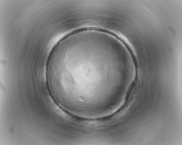 X0000091310791200708101502