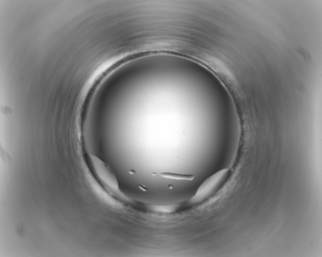 X0000091310792200708101502