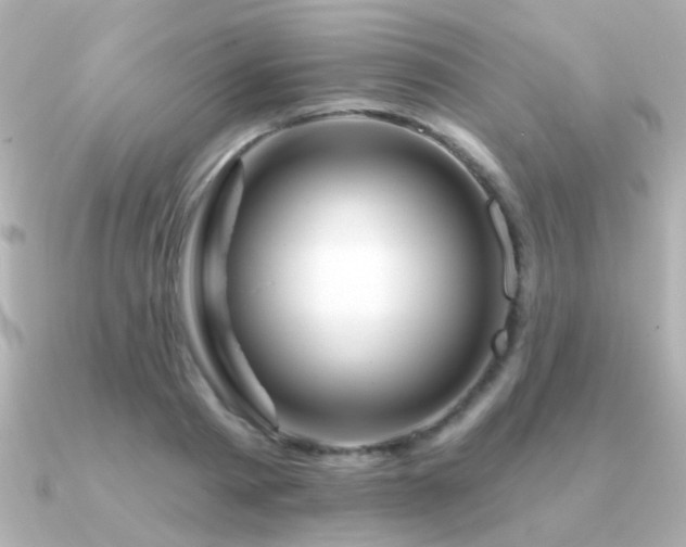 X0000091310793200708101502