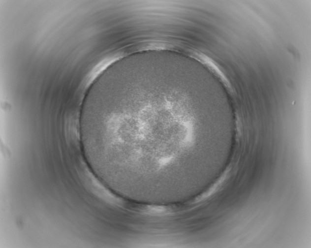 X0000091310794200708101502