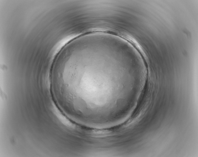 X0000091310795200708101502