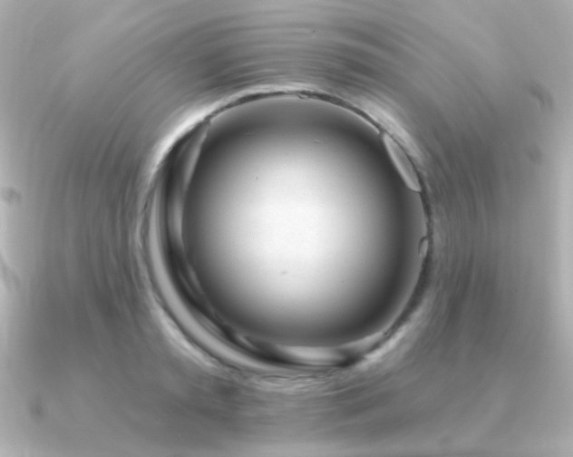 X0000091310797200708101502